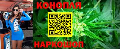 стафф Моздок