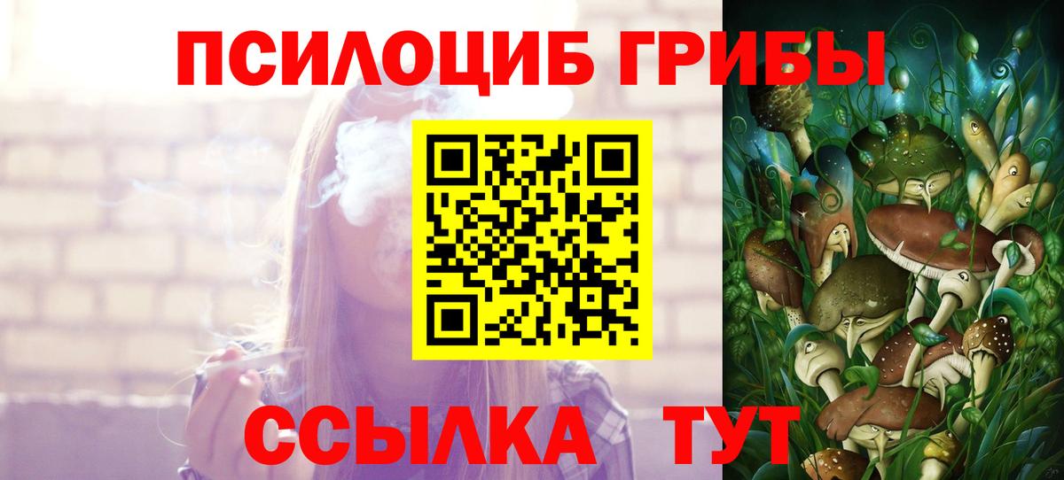Галлюциногенные грибы Psilocybe Усинск